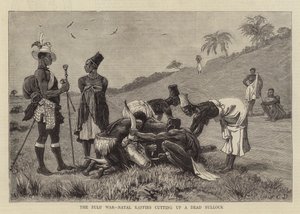 Zulu-sota, Natal Kaffirs leikkasi kuolleen härän